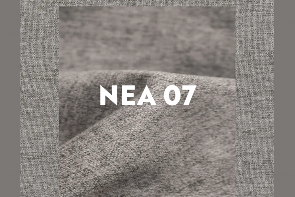 nea07.png