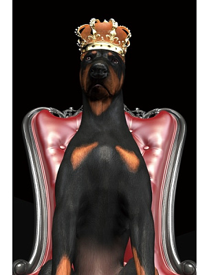 Картина на стекле Signal DOG IN CROWN 80X120