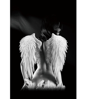 Картина на стекле Signal ANGEL 80x120
